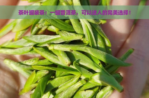 茶叶罐装茶：一罐普洱茶，可以送人的完美选择！