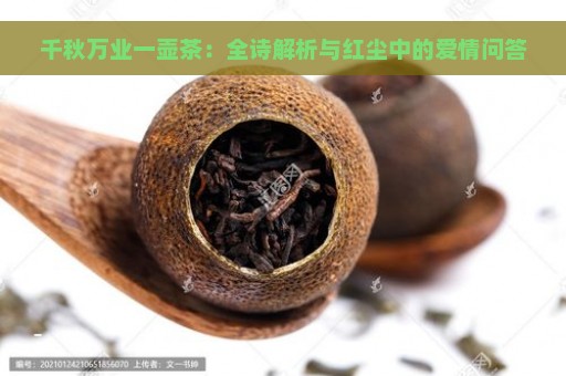 千秋万业一壶茶：全诗解析与红尘中的爱情问答