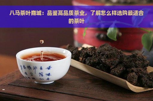 八马茶叶商城：品鉴高品质茶业，了解怎么样选购最适合的茶叶