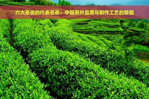 六大茶类的代表名茶：中国茶叶品质与制作工艺的精髓