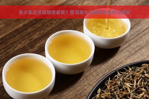 多少年后才能称作老茶？普洱茶与白茶的老化特点解析