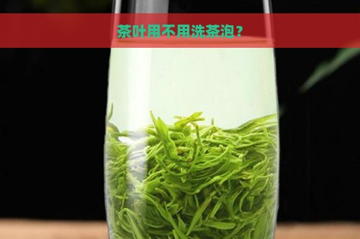 茶叶用不用洗茶泡？