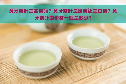 黄牙茶叶是名茶吗？黄牙茶叶是绿茶还是白茶？黄牙茶叶的价格一般是多少？