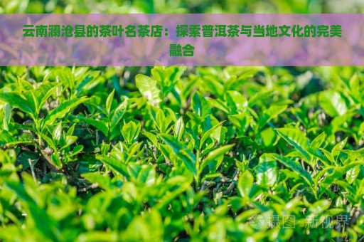 云南澜沧县的茶叶名茶店：探索普洱茶与当地文化的完美融合