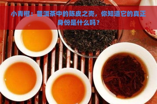 小青柑：普洱茶中的陈皮之壳，你知道它的真正身份是什么吗？