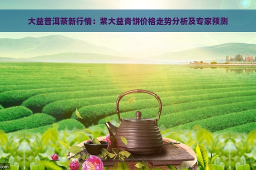 大益普洱茶新行情：紫大益青饼价格走势分析及专家预测