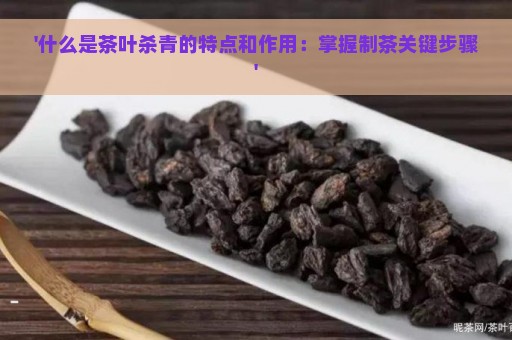 '什么是茶叶杀青的特点和作用：掌握制茶关键步骤'