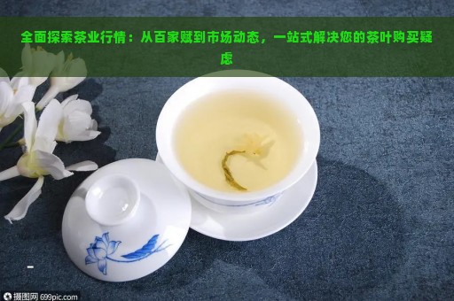 全面探索茶业行情：从百家赋到市场动态，一站式解决您的茶叶购买疑虑