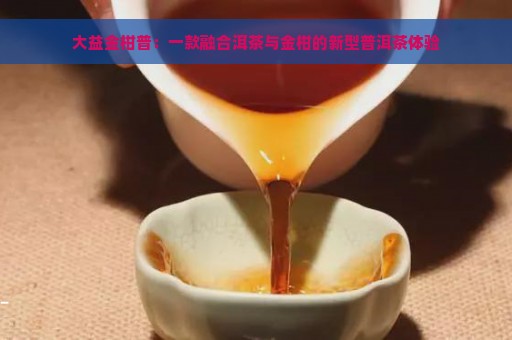 大益金柑普：一款融合洱茶与金柑的新型普洱茶体验