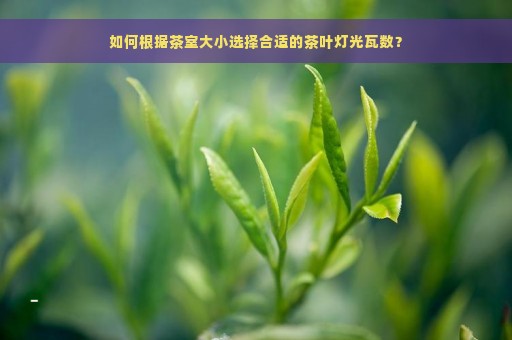 如何根据茶室大小选择合适的茶叶灯光瓦数？