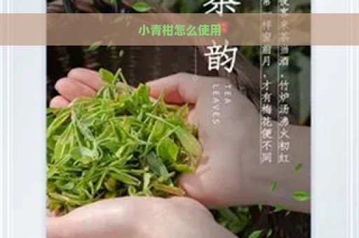 小青柑怎么使用