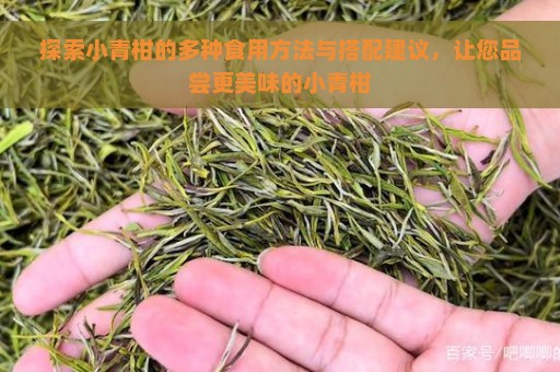 探索小青柑的多种食用方法与搭配建议，让您品尝更美味的小青柑