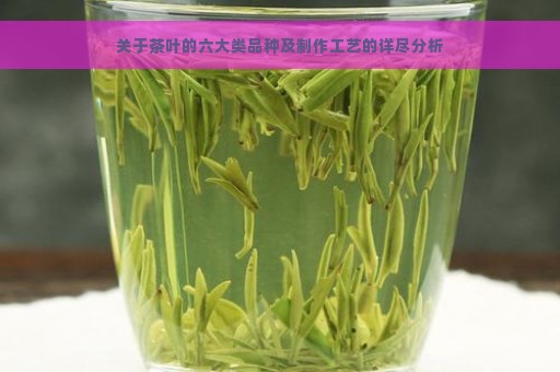 关于茶叶的六大类品种及制作工艺的详尽分析