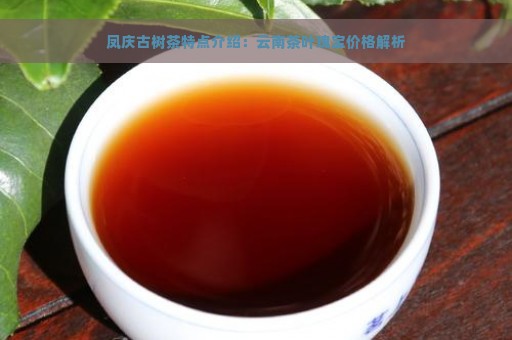 凤庆古树茶特点介绍：云南茶叶瑰宝价格解析