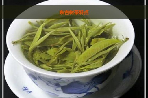 东古树茶特点