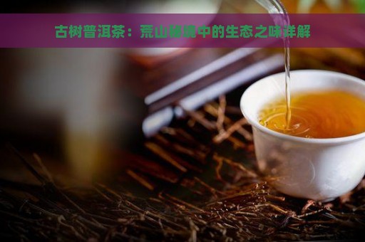 古树普洱茶：荒山秘境中的生态之味详解