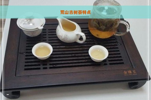 荒山古树茶特点