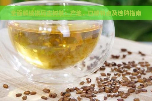 全面解读拔玛古树茶：产地、口感特点及选购指南