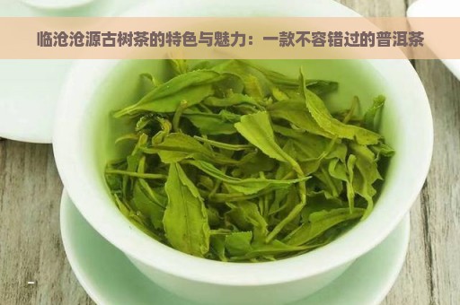 临沧沧源古树茶的特色与魅力：一款不容错过的普洱茶