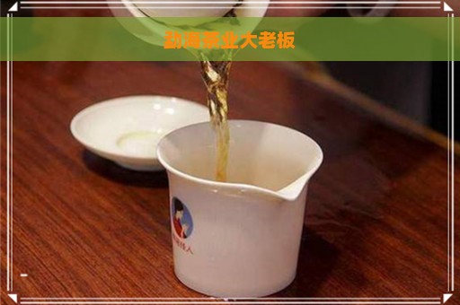 勐海茶业大老板