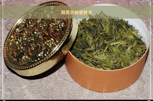 邦丙古树茶特点