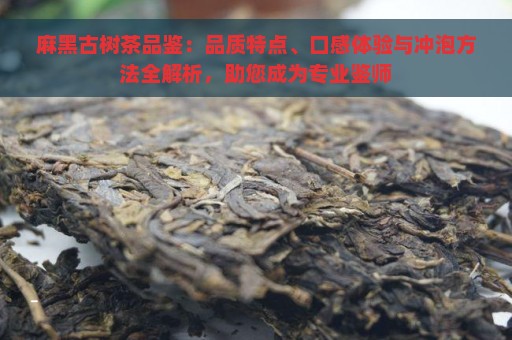 麻黑古树茶品鉴：品质特点、口感体验与冲泡方法全解析，助您成为专业鉴师