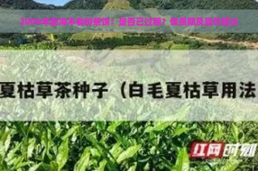 2006年勐海木老树茶饼：是否已过期？保质期及品饮建议