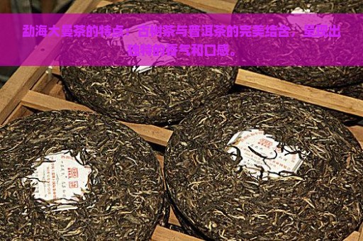 勐海大曼茶的特点：古树茶与普洱茶的完美结合，呈现出独特的香气和口感。