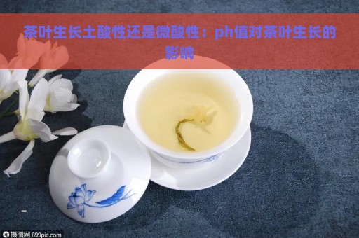 茶叶生长土酸性还是微酸性：ph值对茶叶生长的影响