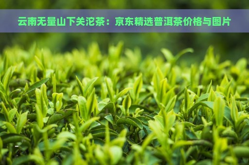 云南无量山下关沱茶：京东精选普洱茶价格与图片