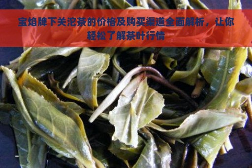 宝焰牌下关沱茶的价格及购买渠道全面解析，让你轻松了解茶叶行情