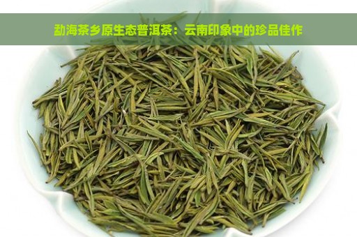 勐海茶乡原生态普洱茶：云南印象中的珍品佳作