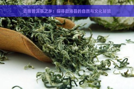 云南普洱茶之乡：探寻勐海县的自然与文化秘境