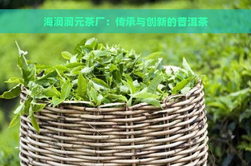 海润润元茶厂：传承与创新的普洱茶