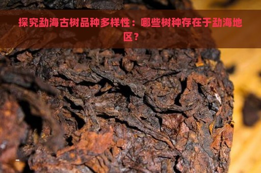 探究勐海古树品种多样性：哪些树种存在于勐海地区？