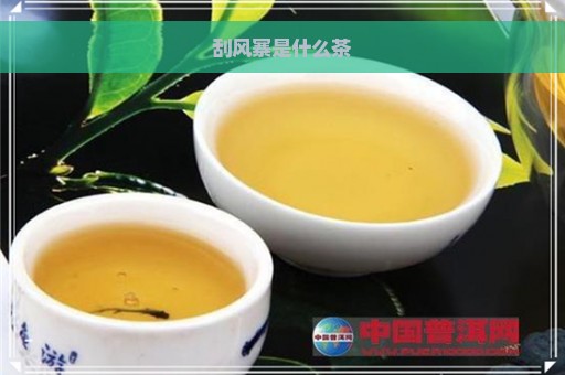 刮风寨是什么茶