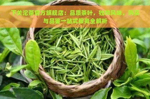 下关沱茶官方旗舰店：品质茶叶，独特风味，购买与品鉴一站式服务全解析