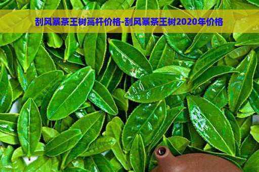 刮风寨茶王树高杆价格-刮风寨茶王树2020年价格