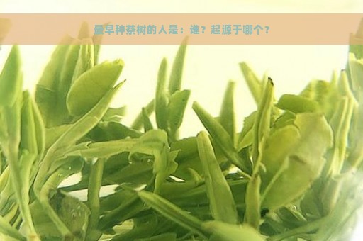 最早种茶树的人是：谁？起源于哪个？