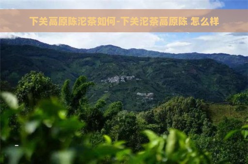 下关高原陈沱茶如何-下关沱茶高原陈 怎么样