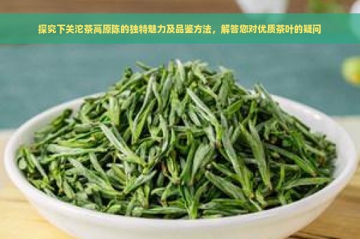 探究下关沱茶高原陈的独特魅力及品鉴方法，解答您对优质茶叶的疑问