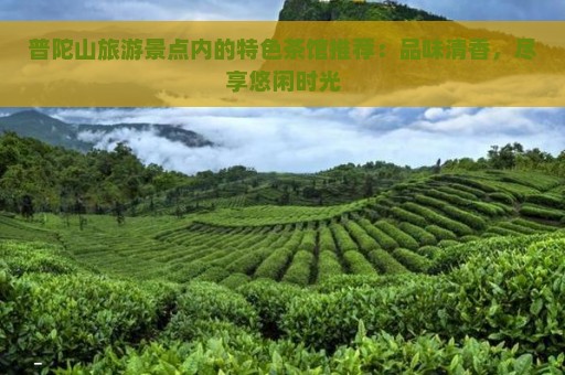 普陀山旅游景点内的特色茶馆推荐：品味清香，尽享悠闲时光