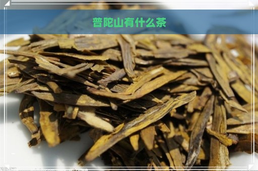 普陀山有什么茶