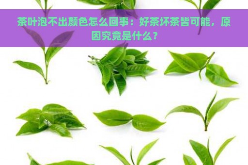 茶叶泡不出颜色怎么回事：好茶坏茶皆可能，原因究竟是什么？