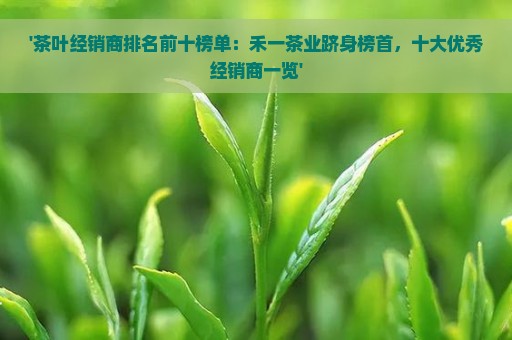 '茶叶经销商排名前十榜单：禾一茶业跻身榜首，十大优秀经销商一览'