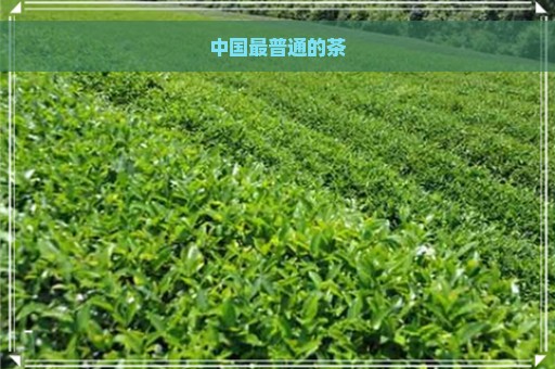 中国最普通的茶