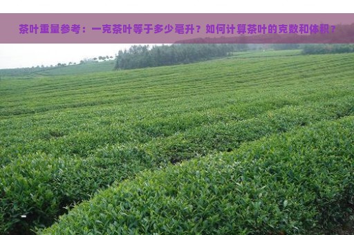 茶叶重量参考：一克茶叶等于多少毫升？如何计算茶叶的克数和体积？