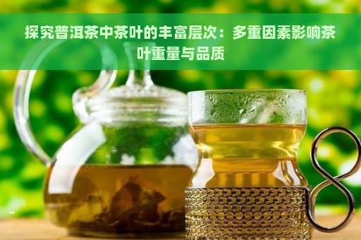 探究普洱茶中茶叶的丰富层次：多重因素影响茶叶重量与品质