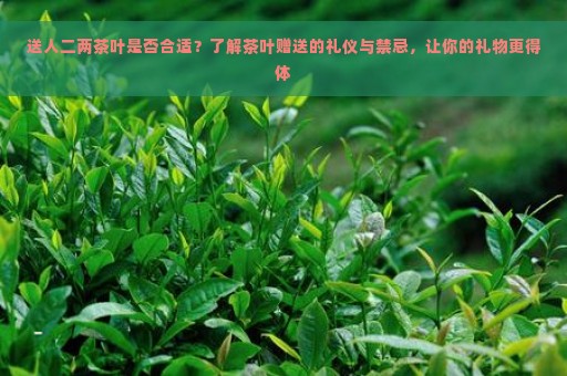 送人二两茶叶是否合适？了解茶叶赠送的礼仪与禁忌，让你的礼物更得体