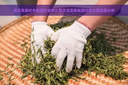 新五克茶叶中的茶叶粒数计算方法及每粒茶叶的大致直径分析